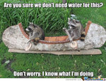 Funny-Canoeing-Meme-Are-You-We-Dont-Need-Water-For-This-Picture.jpg